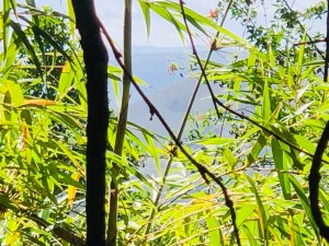 E4E849C3-493F-41BD-8689-9C8880E818DC_1_201_a